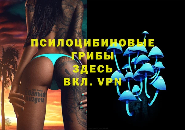 сатива Алексин