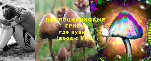 сатива Алексин