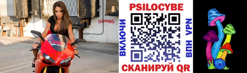 Псилоцибиновые грибы мицелий  Оханск 